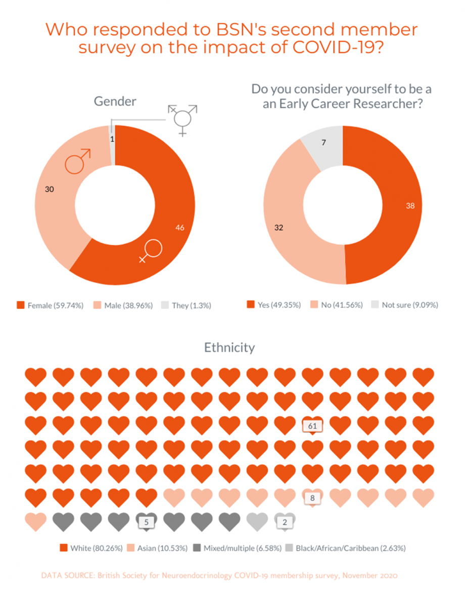 Second COVID-19 survey Respondents